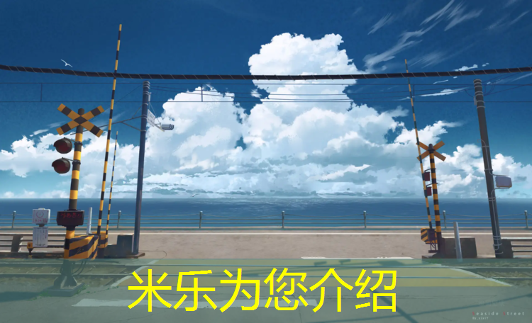 <strong>米乐为您介绍：塑胶跑道10道</strong>