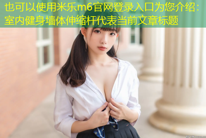 室内健身墙体伸缩杆